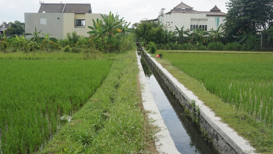 Drainage Solutions